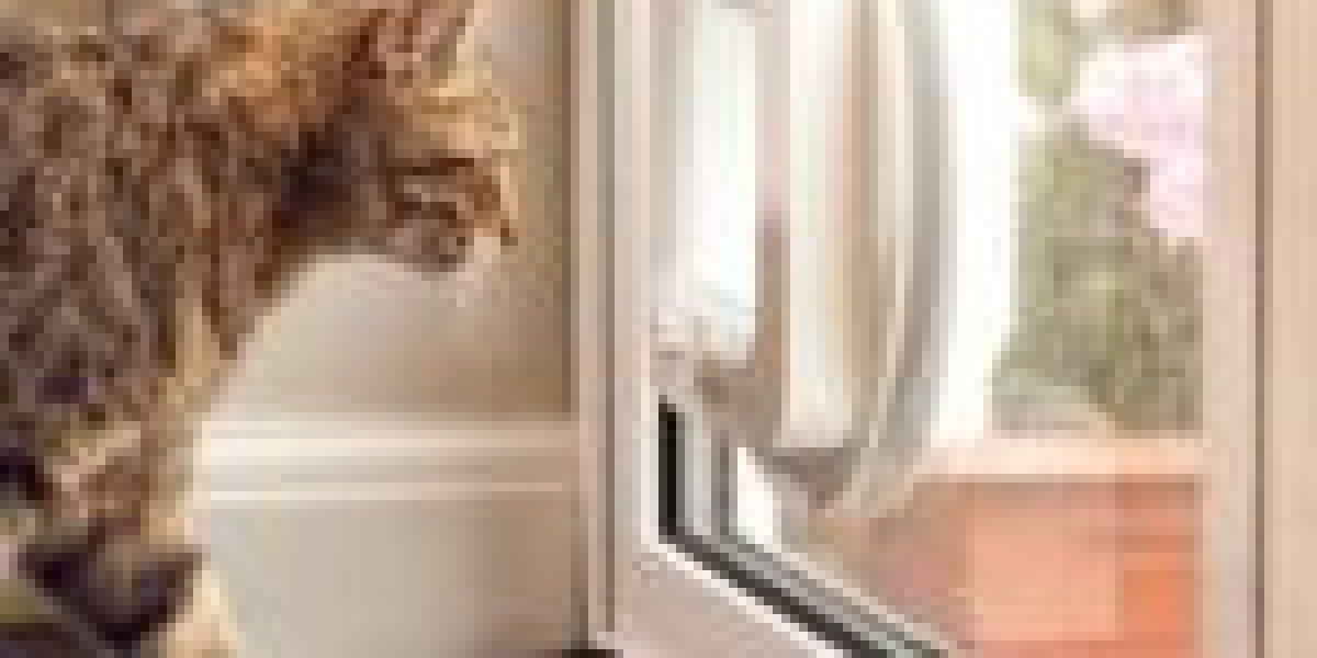 10 Healthy Habits For A Healthy Cat Flap Fitting
