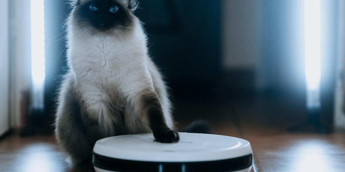 9 . What Your Parents Taught You About Robot Vacuum Cleaner Top 10